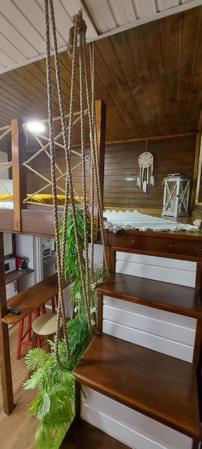Apartment Garden Satu Mare