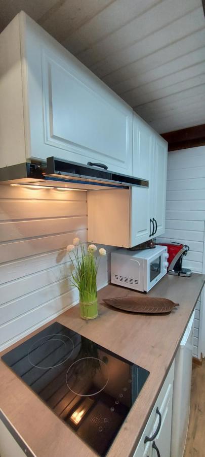 Garden Apartment Satu Mare