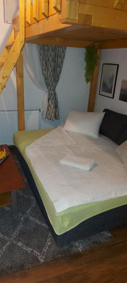 Garden Apartment Satu Mare
